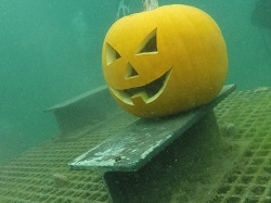 Halloween pod wodą