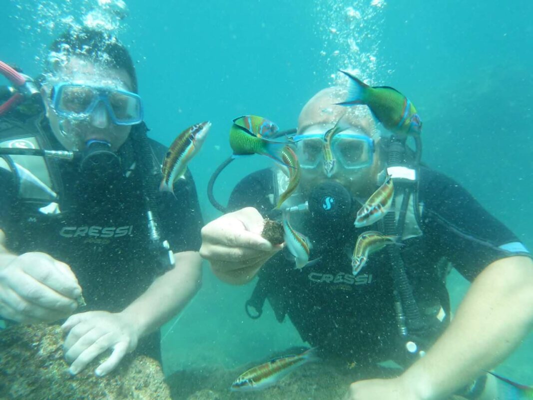 Tortuga w Turcji
