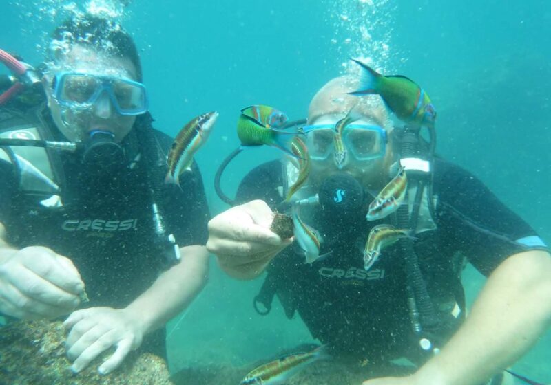 Tortuga w Turcji